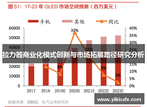 拉力器商业化模式创新与市场拓展路径研究分析