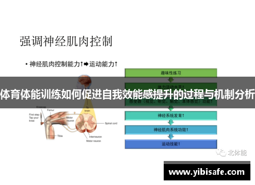 体育体能训练如何促进自我效能感提升的过程与机制分析